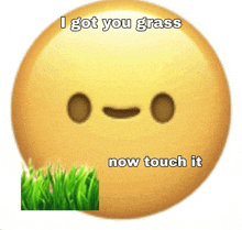 a smiley face with the words " i got you grass now touch it " on it