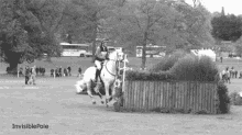 a black and white photo of a horse jumping over a wooden fence with the words invisible pole at the bottom