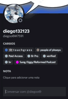 a screenshot of a person 's profile with the name diego1312123