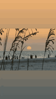 a group of people walking on a beach with the sun setting in the background