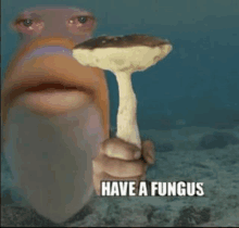 a fish with a beard is holding a mushroom with the words `` have a fungus '' written on it .