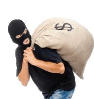 a man wearing a mask is carrying a large bag of money