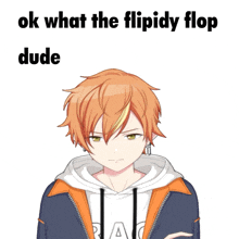 a picture of a boy with the words ok what the flipidy flop dude below it