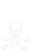 a drawing of a skull and crossbones with a white background