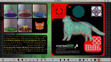 a computer screen shows a cat and the words " enochionskin "