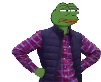 a cartoon frog wearing a plaid shirt and vest stands with his hands on his hips