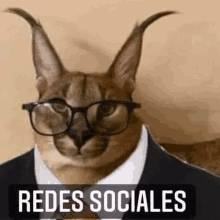 a cat wearing glasses and a suit with the words redes sociales written below it .