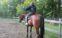 a man is riding on the back of a brown horse .