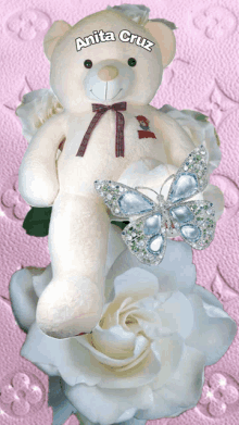 a teddy bear with the name anita cruz written on it