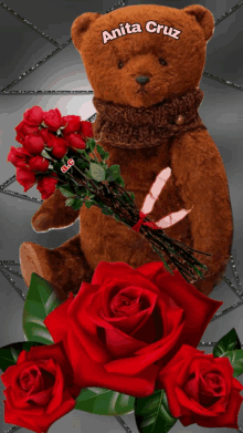 a brown teddy bear with anita cruz written on it