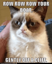 a grumpy cat says row row row your boat gently off a cliff ..