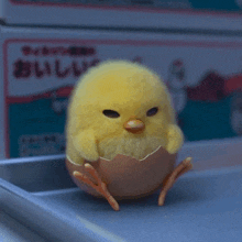 a stuffed chicken is sitting in an egg shell