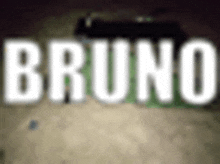 the word bruno is written in white letters on a green background