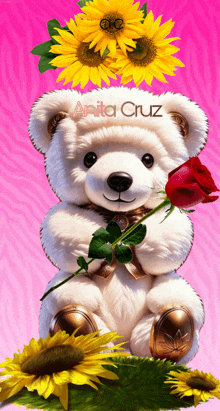 a white teddy bear holding a red rose with anita cruz written on the bottom