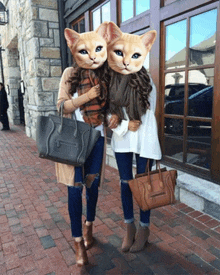 two women with cat faces on their heads pose for a photo