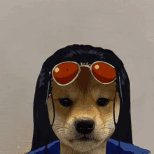 a dog wearing sunglasses and a blue shirt