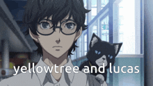 a boy with glasses stands next to a cat with the words yellowtree and lucas written below him