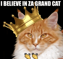 an orange and white cat wearing a gold crown with the words i believe in za grand cat below it