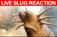 a close up of a slug with a live slug reaction sign behind it .