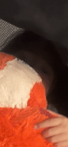 a close up of a person holding an orange and white stuffed animal