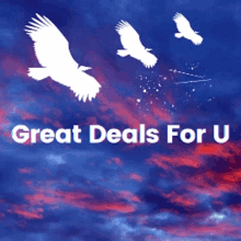 a picture of birds flying in the sky with the words great deals for u