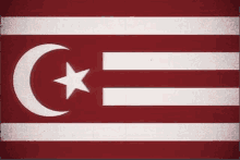 a red and white flag with a crescent moon and star .