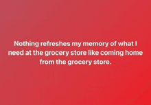 nothing refreshes my memory of what i needed at the grocery store like coming home from the grocery store