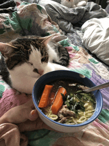 a cat laying next to a bowl of soup