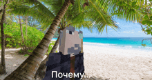 a minecraft character is standing on a beach with a palm tree in the background