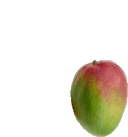 a mango with a red and green peel on a white background