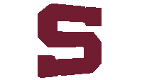 a maroon letter s is against a white backdrop