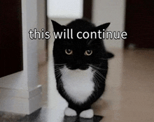 a black and white cat is standing in front of a sign that says " this will continue "