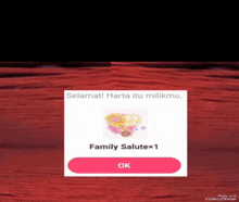 a screen shot of a video showing a family salute button