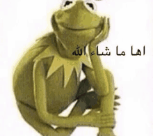 kermit the frog is sitting down with his hand on his chin and smiling with arabic writing .