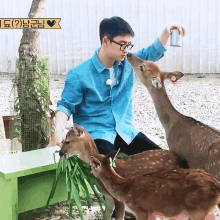 a man in a blue shirt is feeding a deer with a sign above him that says " i love you "