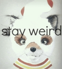 a picture of a cat with the words " stay weird " written above it