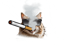 a cat wearing sunglasses is smoking a cigarette with smoke coming out of its mouth