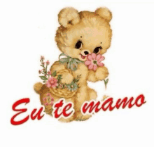 a teddy bear is holding a basket of flowers and says eu te amo .