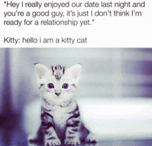 a picture of a kitten with a caption saying " hey i really enjoyed our date last night