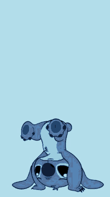 stitch is laying on its back on a blue background .