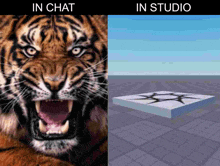 a picture of a tiger next to a picture of a cube with the words in chat and in studio