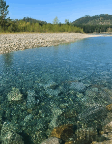 a river runs through a rocky shoreline with trees in the background