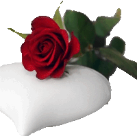 a red rose is sitting on a white heart shaped vase .