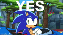 a cartoon of sonic the hedgehog with the words " yes " above him