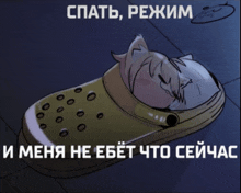 a cartoon of a cat sleeping in a crocs