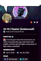 a screenshot of a person 's profile with the name dasher