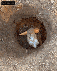 a hamster is laying in a hole with a carrot next to it and a heroin dev build sign above it