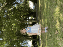 a little girl in a blue and white dress is standing in a park