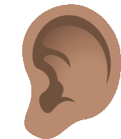 a brown ear on a white background with a curve in the middle