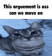 a cat is laying on a bed with the words this argument is ass can we move on